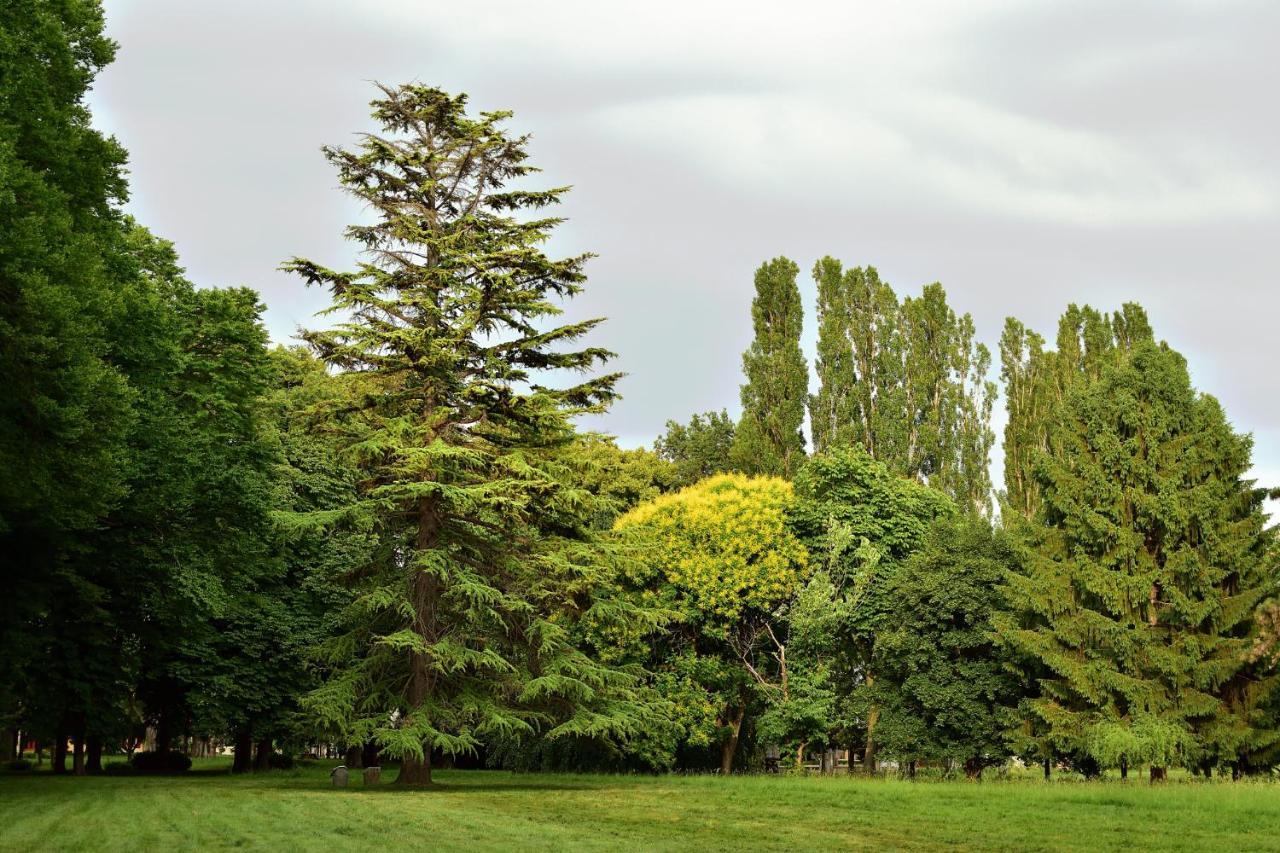 Villa Iachia Ruda Екстер'єр фото